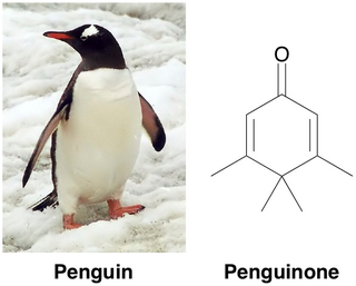 Illustration for article titled Random science fact of the day.